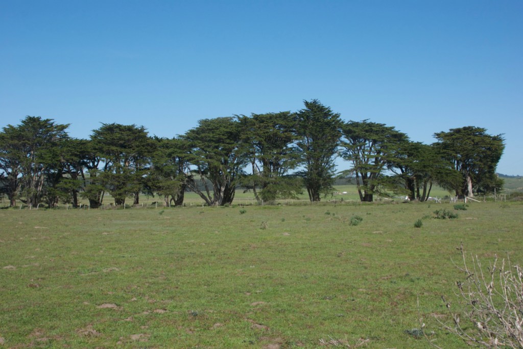 Getting Started: Seeing Simple Shapes, Part 1