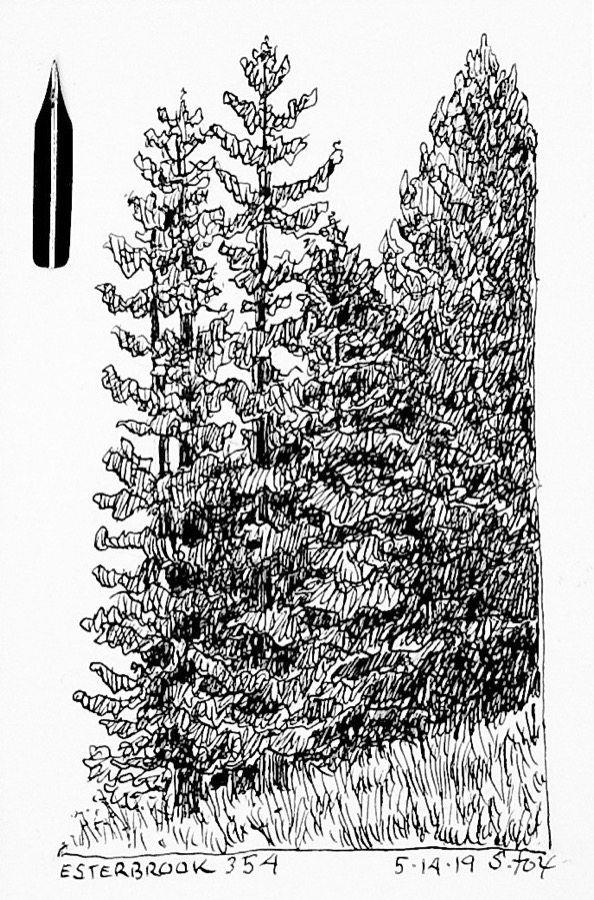 Trees And Plants- Nib Try-outs