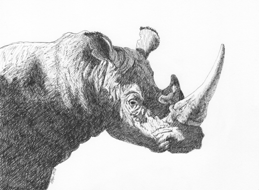 Getting Started: Seeing Simple Shapes, Part 2